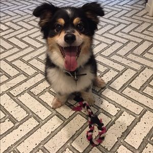 Meet your Posher, Rae